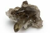 Natural Smoky Quartz Crystal Cluster - Brazil #231281-1